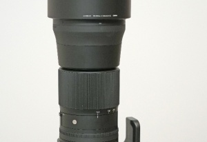 Miniature 1 : Sigma 150-600, monture Canon EF