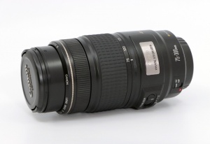 Miniature 1 : Canon EF 75-300mm F4-5.6 IS USM