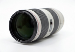 Miniature 6 : Canon EF 70-200mm F2.8 L IS II USM