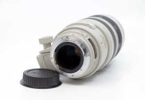 Miniature 4 : Canon EF 100-400mm F4.5-5.6 L IS