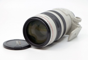 Miniature 3 : Canon EF 100-400mm F4.5-5.6 L IS